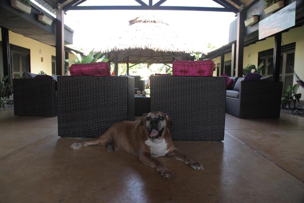Hotel Amazon Bed And Breakfast Leticia Exterior photo