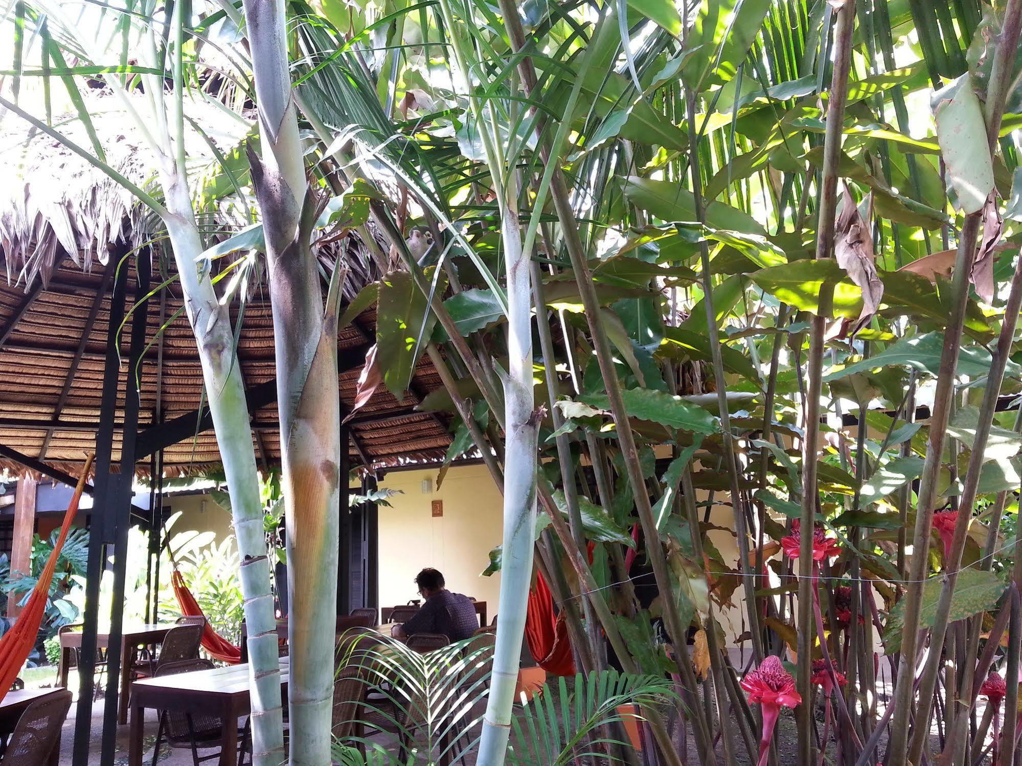 Hotel Amazon Bed And Breakfast Leticia Exterior photo